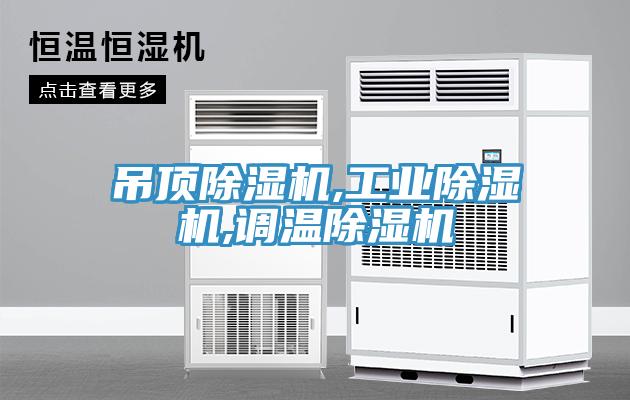 吊顶MR.好色破解版,工业MR.好色破解版,调温MR.好色破解版