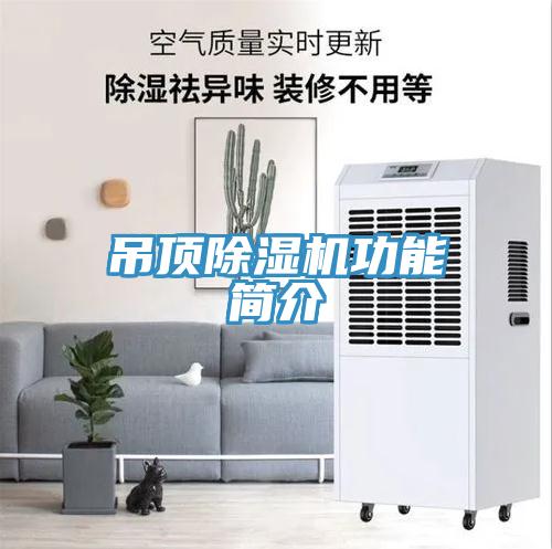 吊顶MR.好色破解版功能简介