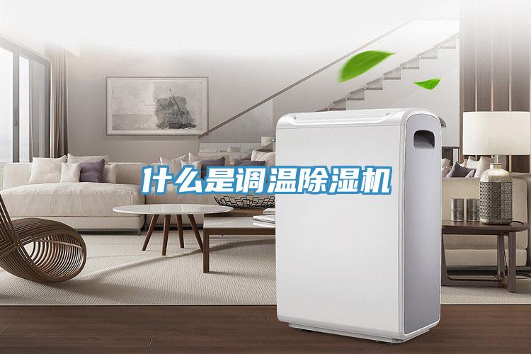 什么是调温MR.好色破解版