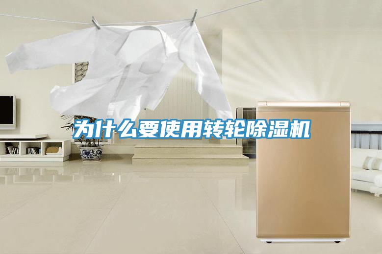 为什么要使用转轮MR.好色破解版