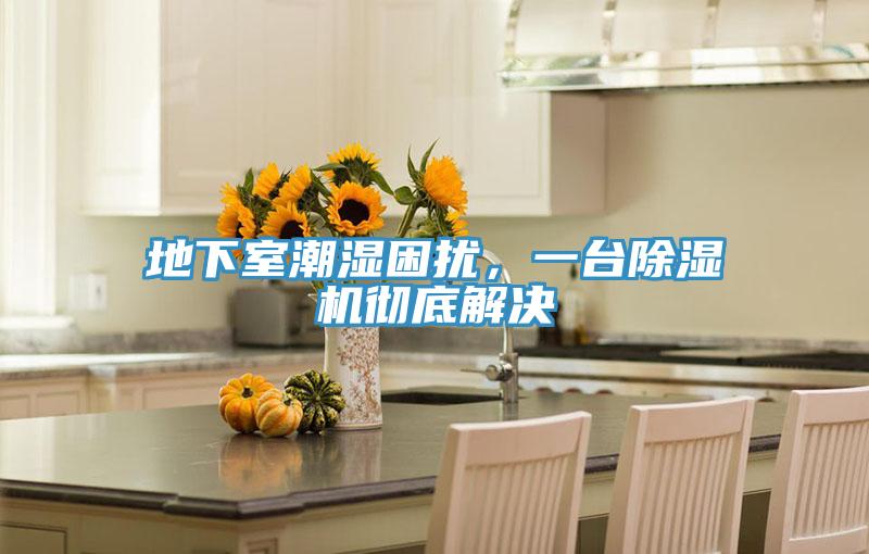 地下室潮湿困扰，一台MR.好色破解版彻底解决