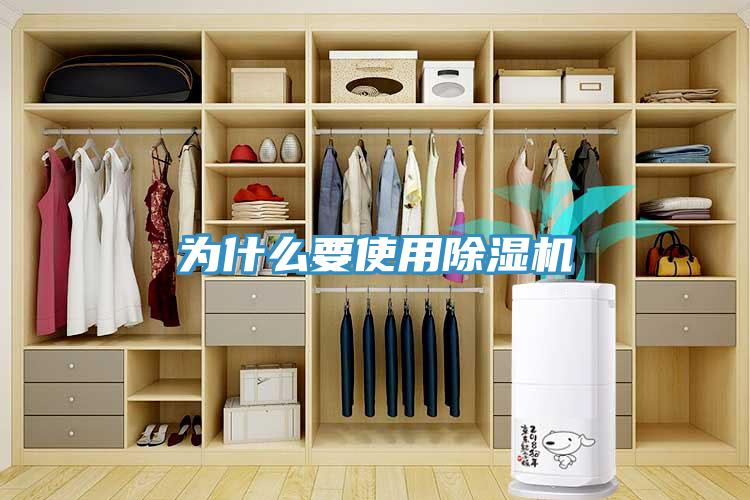 为什么要使用MR.好色破解版