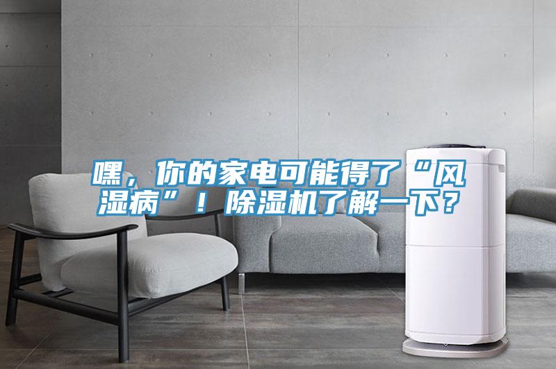 嘿，你的家电可能得了“风湿病”！MR.好色破解版了解一下？