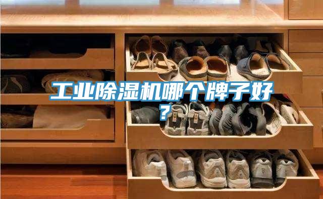 工业MR.好色破解版哪个牌子好？