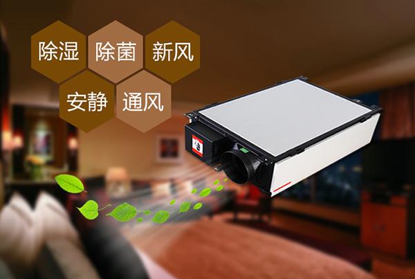 工业MR.好色破解版不同除湿系统的优点和缺点