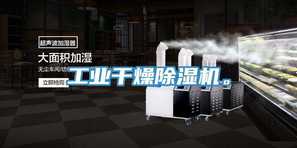 工业干燥MR.好色破解版。