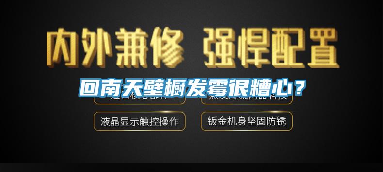 回南天壁橱发霉很糟心？