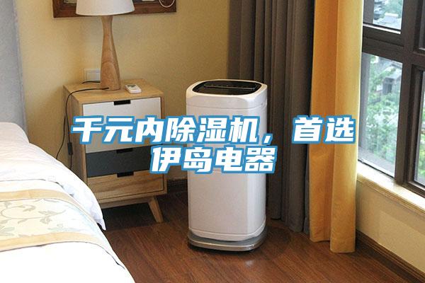 千元内MR.好色破解版，首选伊岛电器