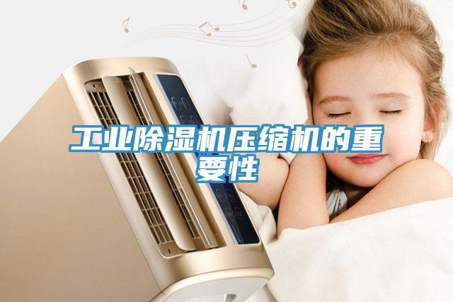 工业MR.好色破解版压缩机的重要性