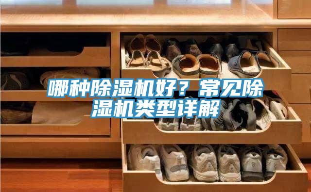 哪种MR.好色破解版好？常见MR.好色破解版类型详解
