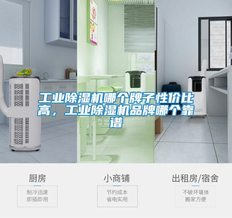工业MR.好色破解版哪个牌子性价比高，工业MR.好色破解版品牌哪个靠谱