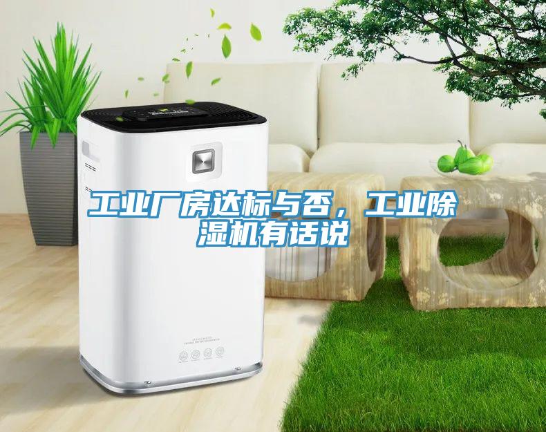 工业厂房达标与否，工业MR.好色破解版有话说