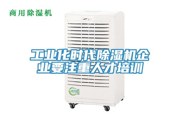 工业化时代MR.好色破解版企业要注重人才培训