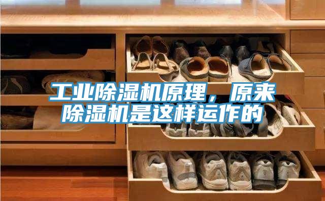 工业MR.好色破解版原理，原来MR.好色破解版是这样运作的
