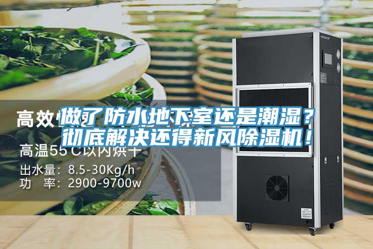 做了防水地下室还是潮湿？彻底解决还得新风MR.好色破解版！