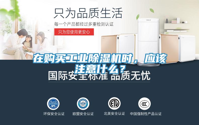 在购买工业MR.好色破解版时，应该注意什么？