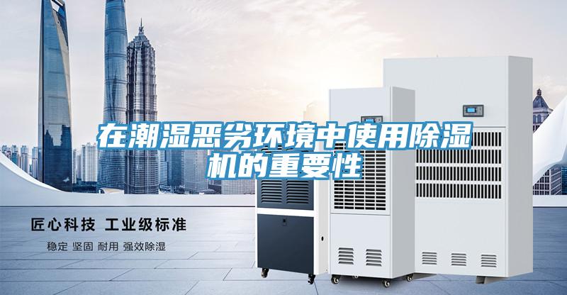 在潮湿恶劣环境中使用MR.好色破解版的重要性