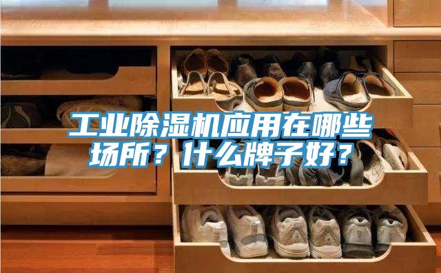工业MR.好色破解版应用在哪些场所？什么牌子好？