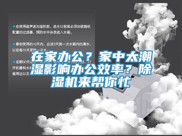 在家办公？家中太潮湿影响办公效率？MR.好色破解版来帮你忙