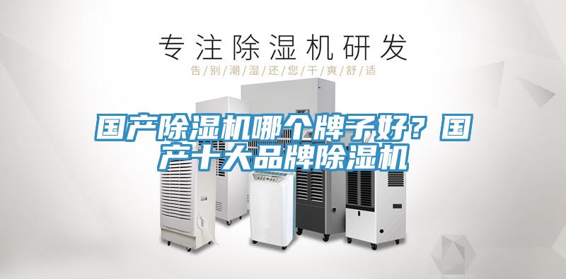 国产MR.好色破解版哪个牌子好？国产十大品牌MR.好色破解版