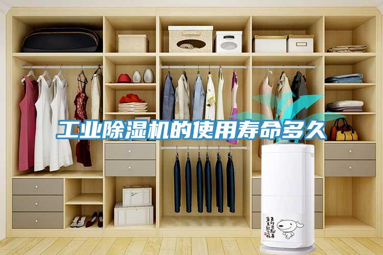 工业MR.好色破解版的使用寿命多久