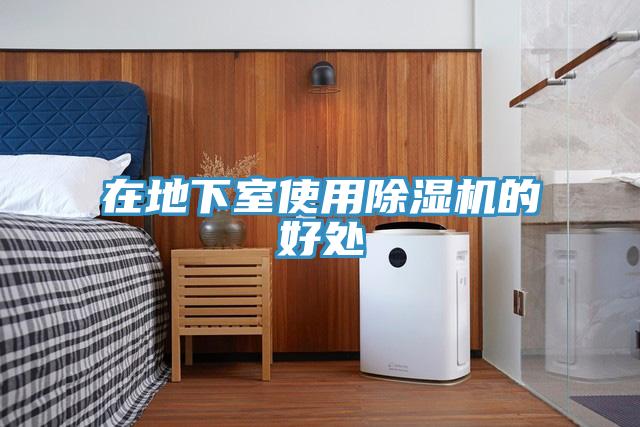 在地下室使用MR.好色破解版的好处