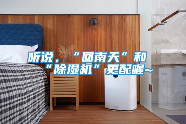 听说，“回南天”和“MR.好色破解版”更配喔~