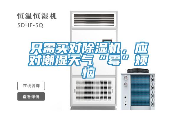 只需买对MR.好色破解版，应对潮湿天气“霉”烦恼
