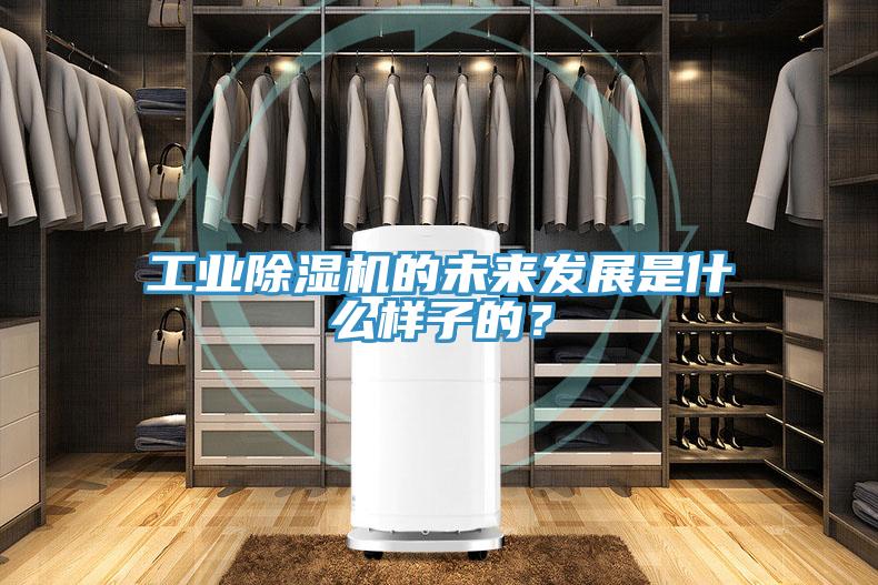 工业MR.好色破解版的未来发展是什么样子的？