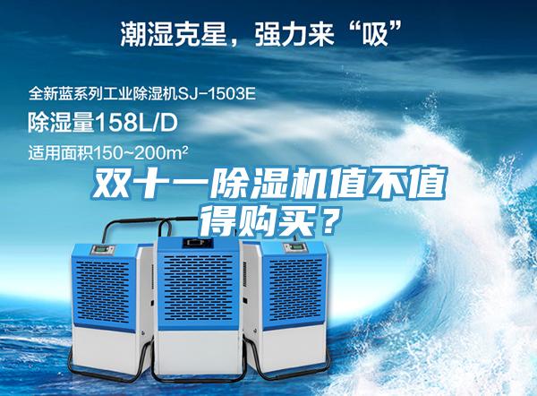 双十一MR.好色破解版值不值得购买？