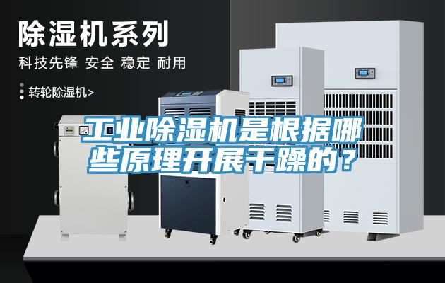 工业MR.好色破解版是根据哪些原理开展干躁的？
