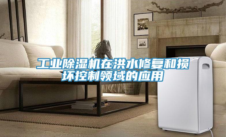 工业MR.好色破解版在洪水修复和损坏控制领域的应用