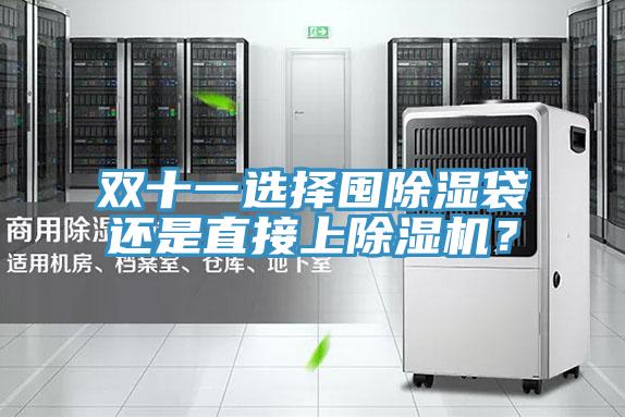 双十一选择囤除湿袋还是直接上MR.好色破解版？