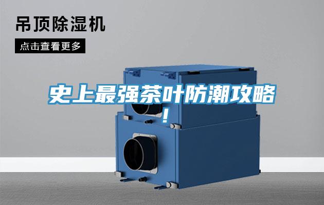 史上最强茶叶防潮攻略！