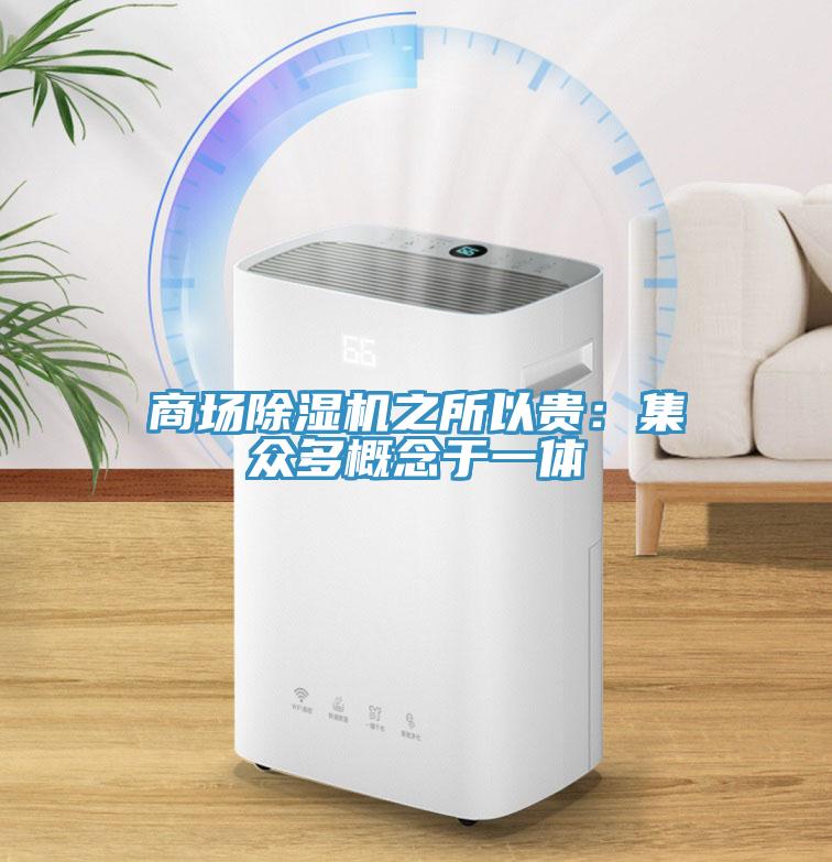 商场MR.好色破解版之所以贵：集众多概念于一体