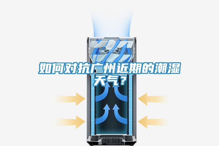 如何对抗广州近期的潮湿天气？