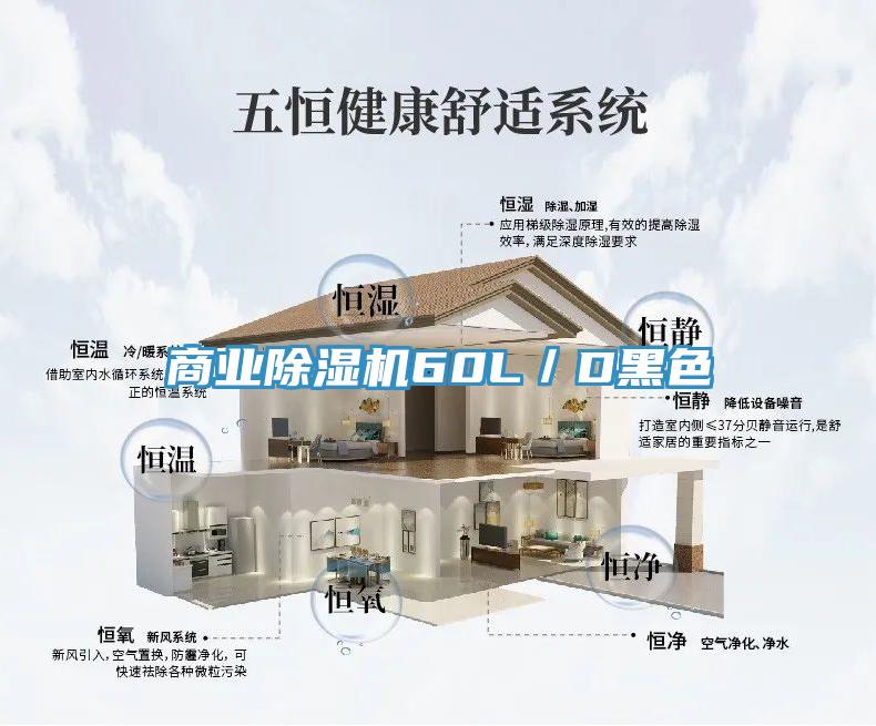 商业MR.好色破解版60L／D黑色