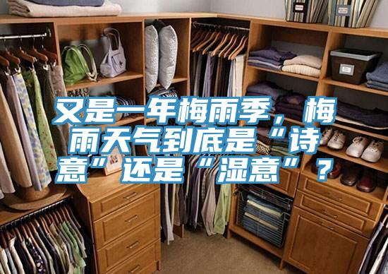 又是一年梅雨季，梅雨天气到底是“诗意”还是“湿意”？