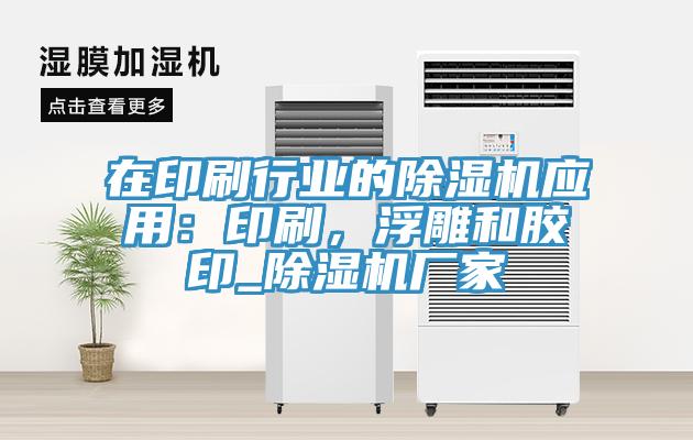 在印刷行业的MR.好色破解版应用：印刷，浮雕和胶印_MR.好色破解版厂家