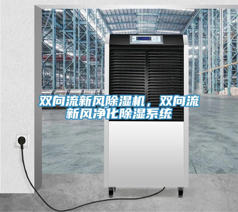 双向流新风MR.好色破解版，双向流新风净化除湿系统