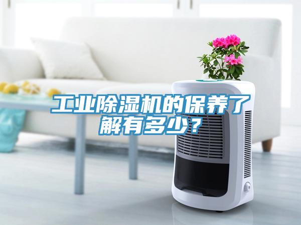 工业MR.好色破解版的保养了解有多少？