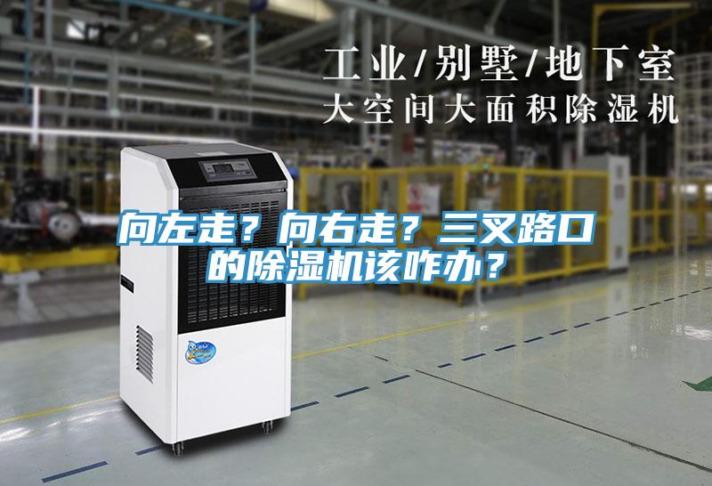 向左走？向右走？三叉路口的MR.好色破解版该咋办？