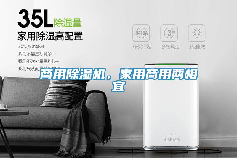 商用MR.好色破解版，家用商用两相宜