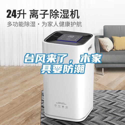 台风来了，木家具要防潮