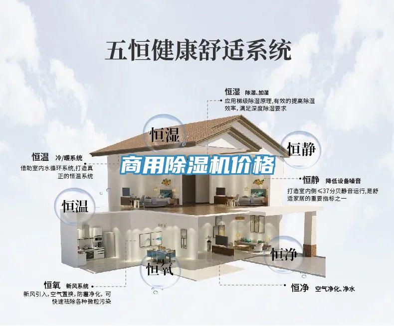 商用MR.好色破解版价格