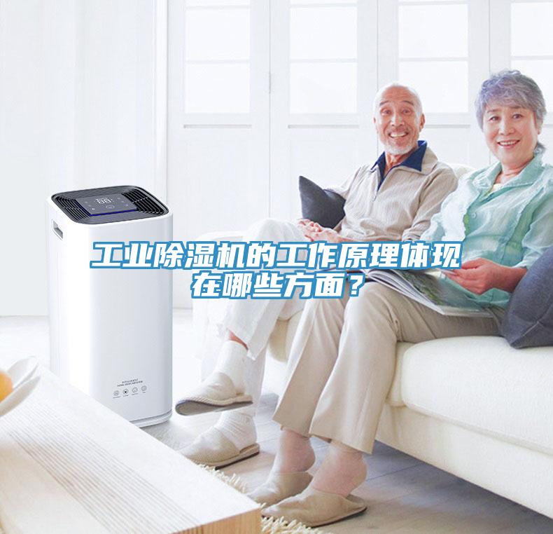 工业MR.好色破解版的工作原理体现在哪些方面？