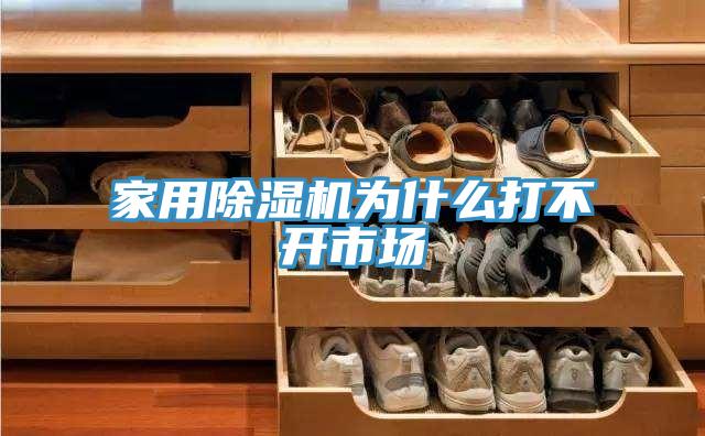 家用MR.好色破解版为什么打不开市场