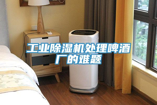 工业MR.好色破解版处理啤酒厂的难题