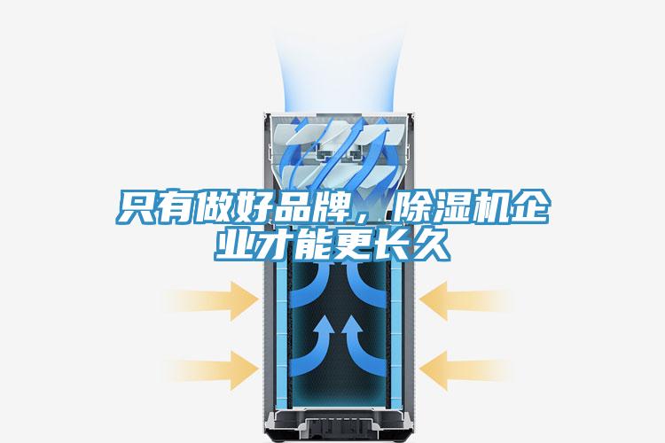 只有做好品牌，MR.好色破解版企业才能更长久