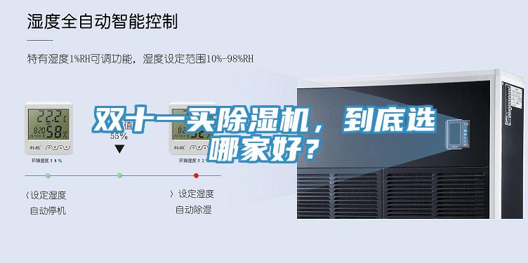 双十一买MR.好色破解版，到底选哪家好？